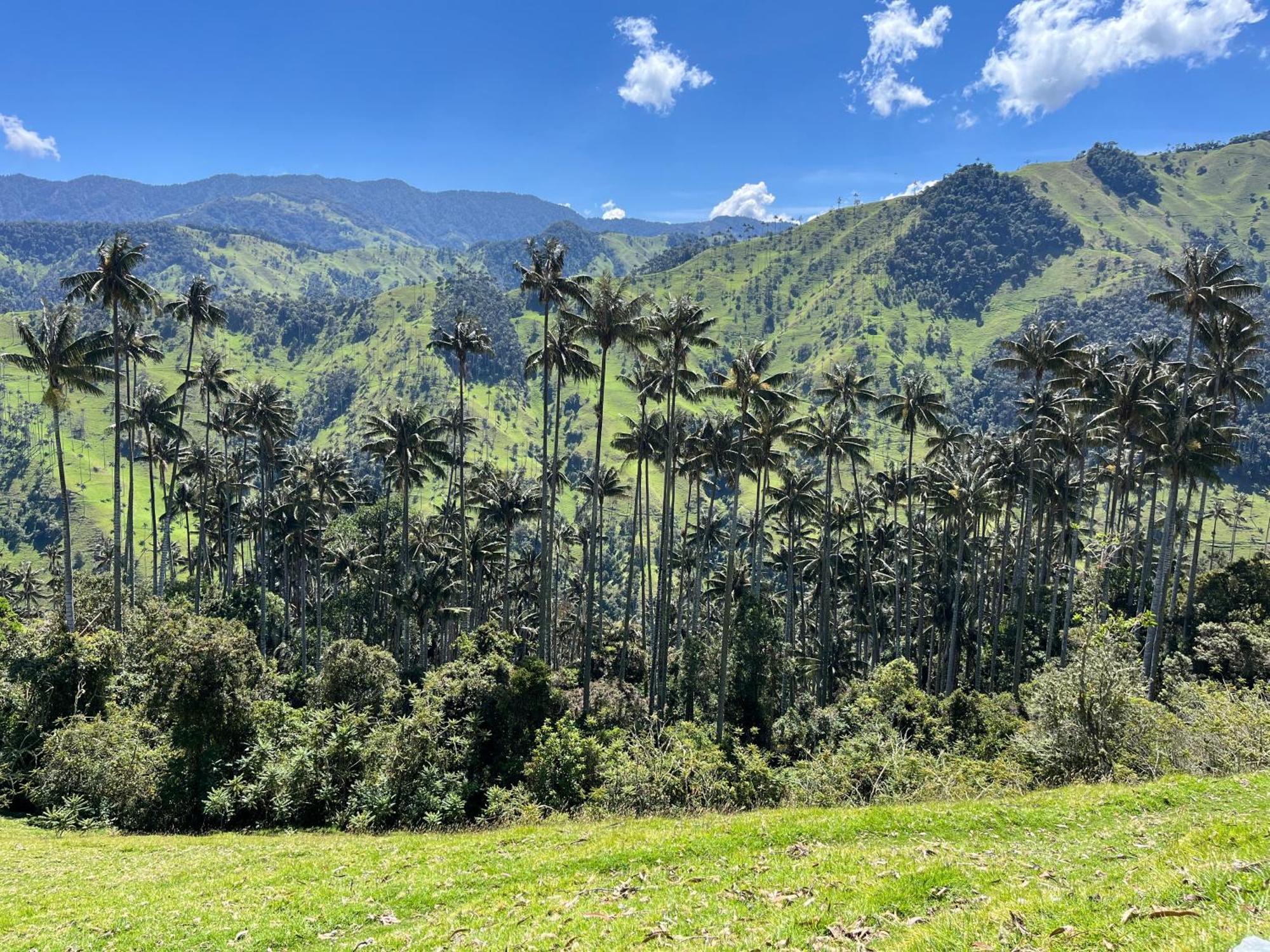 بيت شباب Tukawa فيلانديا المظهر الخارجي الصورة
